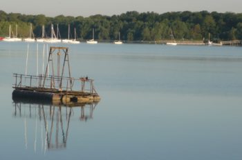 Lac du Der